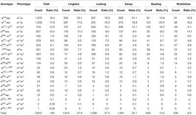 Molecular Spectrum, Ethnic and Geographical Distribution of Thalassemia in the Southern Area of Hainan, China